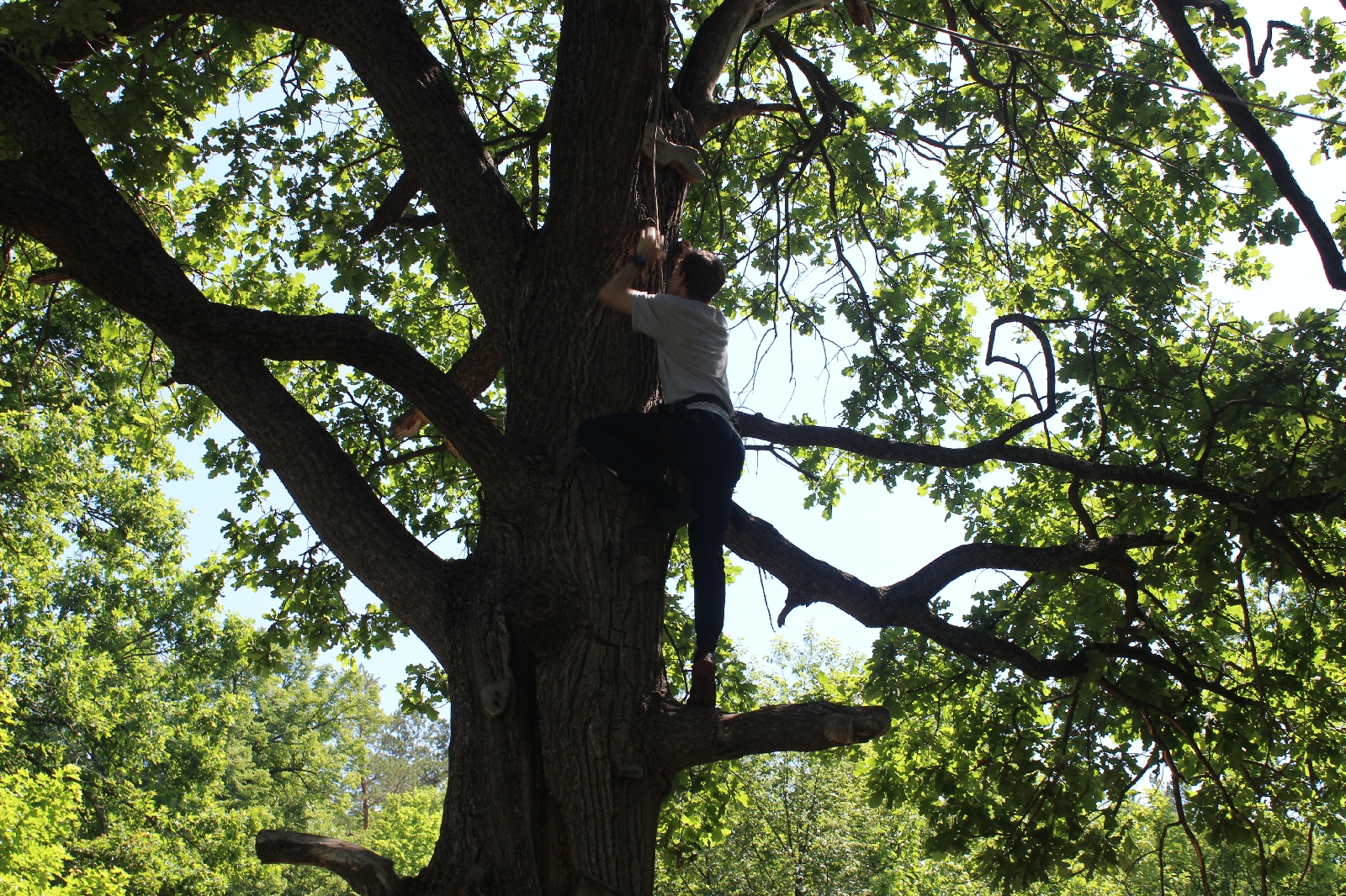 XXVI открытый туристический слет